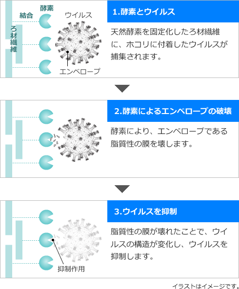 酵素によるウイルス抑制の仕組み図